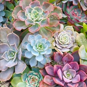 Baby clothes and pumping bras for Brianne!